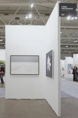 20141024 Alex Fischer Art Toronto O'Born Contemporary 09 Feather Feeder documentation.jpg